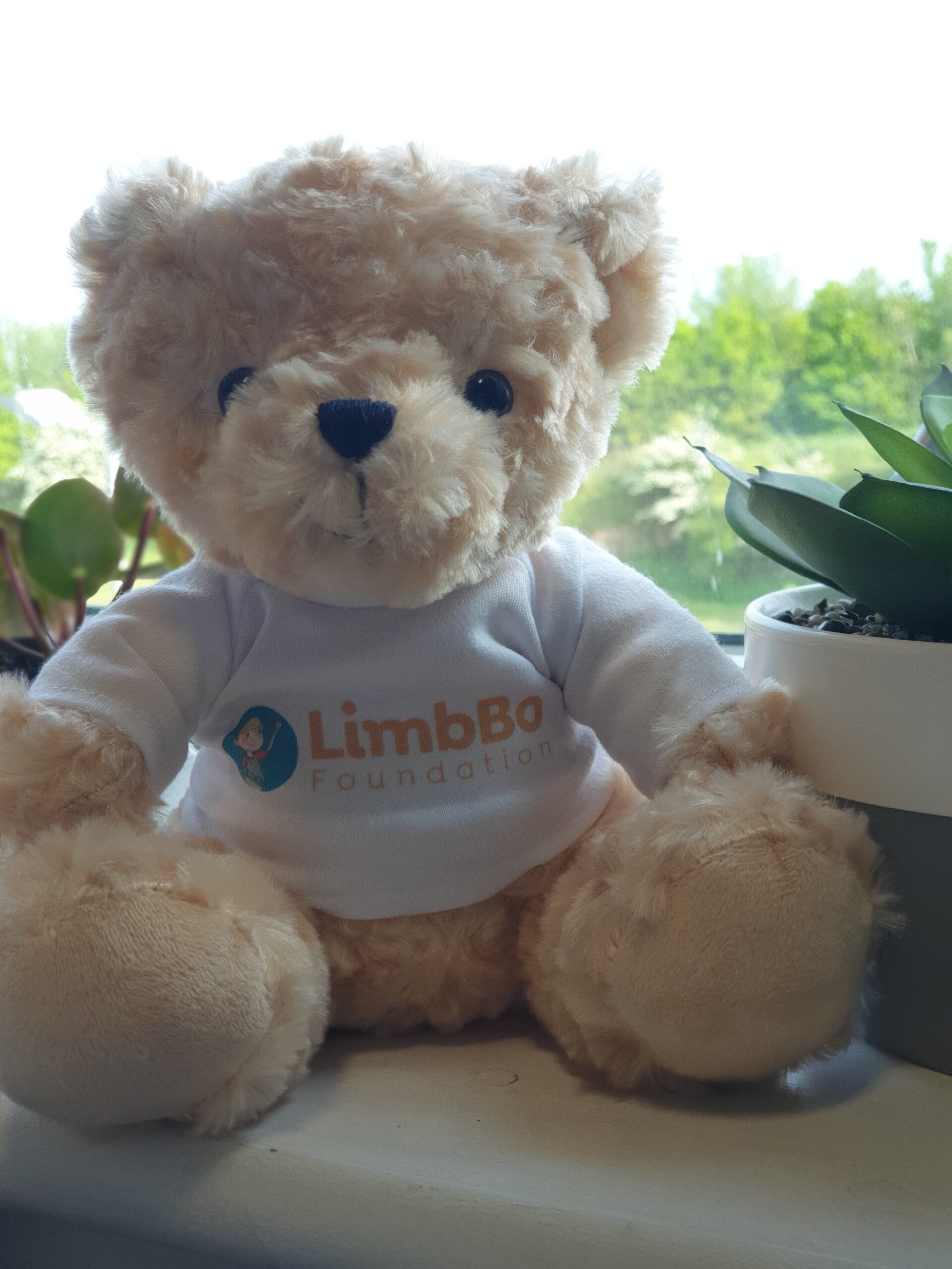 £176 raised this week for Limbo from a staff raffle