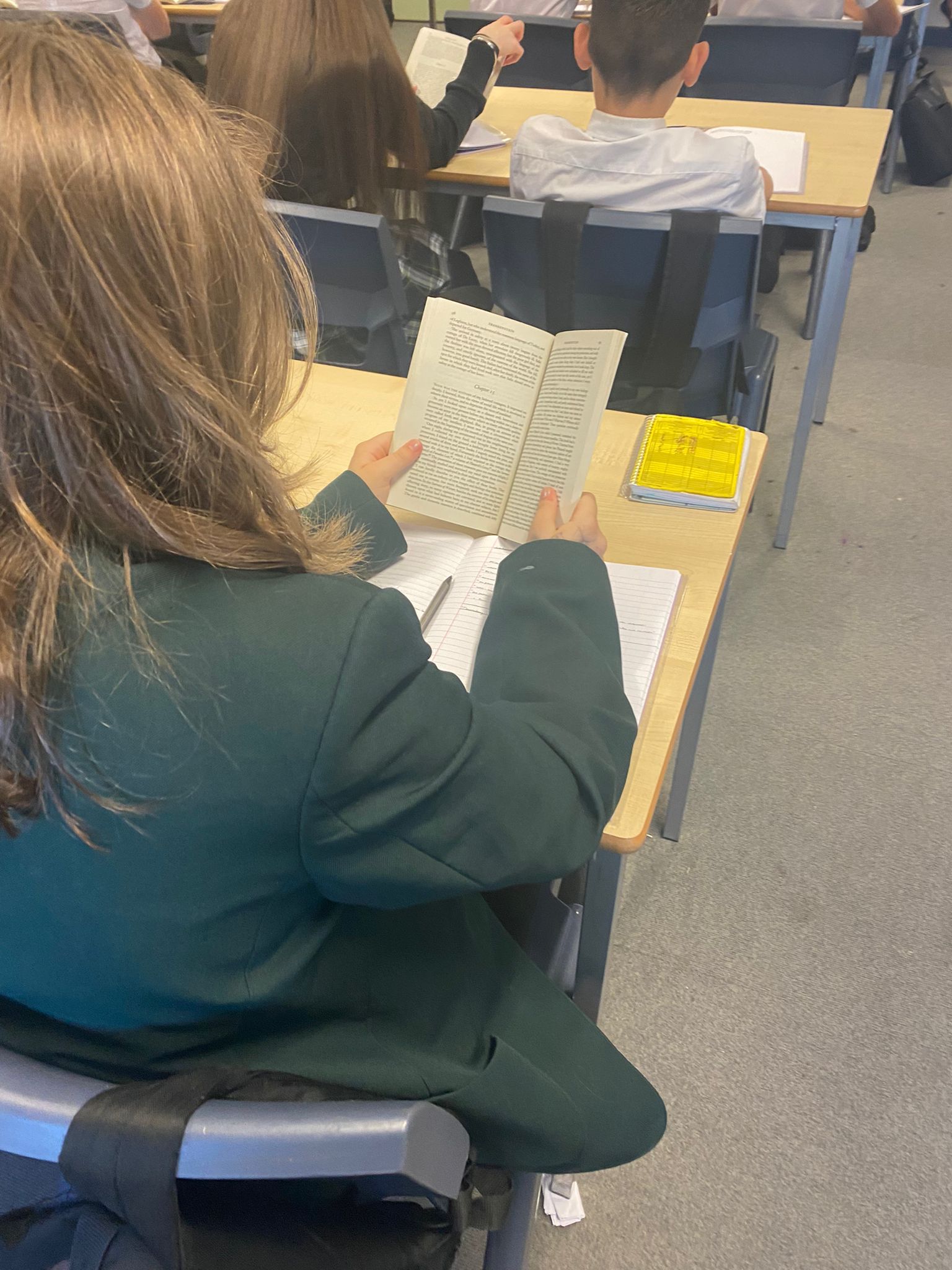 51. Modelling reading of Frankenstein